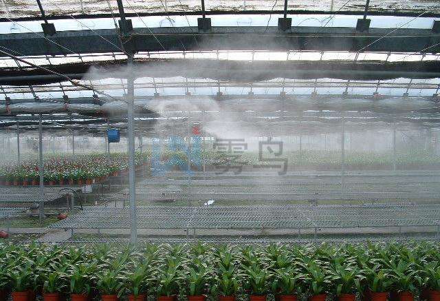 溫室大棚噴霧降溫加濕系統